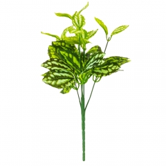 Ветка филодендрона (8001-012)