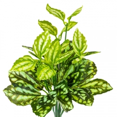 Ветка филодендрона (8001-012)