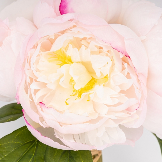 Букет півоній, 7 бутонів, пудровий, 28 см ВРЯТОВАНА ПОЗИЦІЯ (9259-113) Букет півоній, 7 бутонів, пудровий, 28 см ВРЯТОВАНА ПОЗИЦІЯ (9259-113)