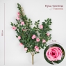 Штучний кущ троянд, рожевий, 88 см (9270-018)