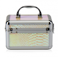 Кейс-шкатулка "Луска" (8908-001)