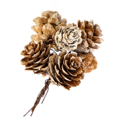 Декор "Белкины шишки" (8003-011)