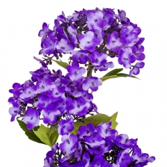 Гортензия "Магнит", фиолетовая, 70 см (9160-064)