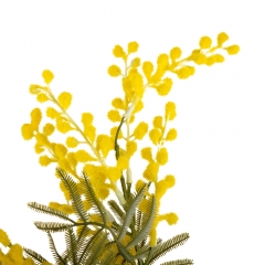 Мимоза "Возрождение", желтая, 86 см (9160-073)