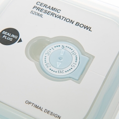 Контейнер для їжі керамічний *рандомний вибір дизайну (0530JH)