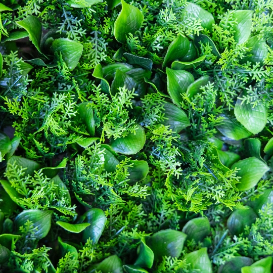 Фітомодуль штучний 