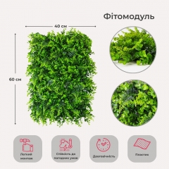 Фітомодуль штучний "Самшит та папороть", 40*60 см (19295-002)