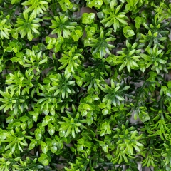 Фітомодуль штучний "Травка", 40*60 см (19295-004)