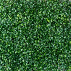 Фітомодуль штучний "Самшит", 40*60 см (19295-007)