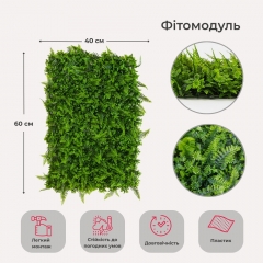 Фітомодуль штучний "Папороть", 40*60 см (19295-009)