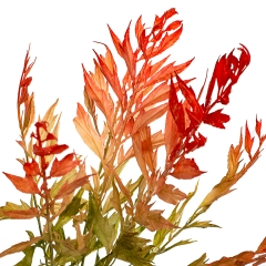 Ветвь бамбука оливково-красная искусственная (8408-057)