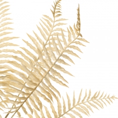 Гілка папороті, кремова (8725-011)