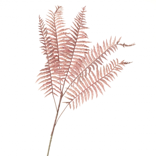 Гілка папороті, рожева (8725-012)