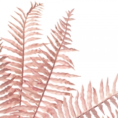 Ветка папоротника, розовая (8725-012)