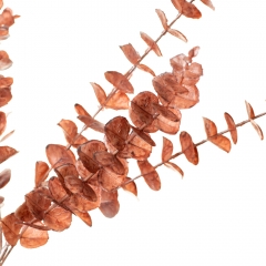 Ветка эвкалипта, оранжевая (8725-019)