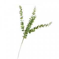 Веточка эвкалипта, зеленая (8725-020)