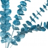 Гілка евкаліпта, блакитна (8725-021)