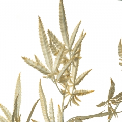 Декоративная ветка, серая (8725-023)