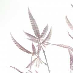 Декоративна гілка, рожева (8725-024)