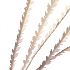 Декоративная ветка, розовая (8725-028)