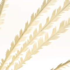 Декоративная ветка, белая (8725-030)