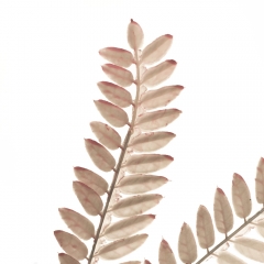 Декоративная ветка, серая (8725-032)