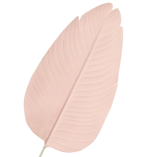 Пальмовий лист, рожевий (8725-034)