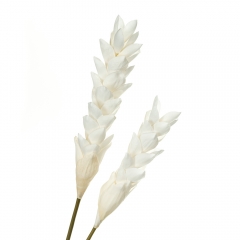 Ветка декоративная, белая (8725-038)