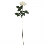 Роза "Нежность", белая, 75 см (6018-055)