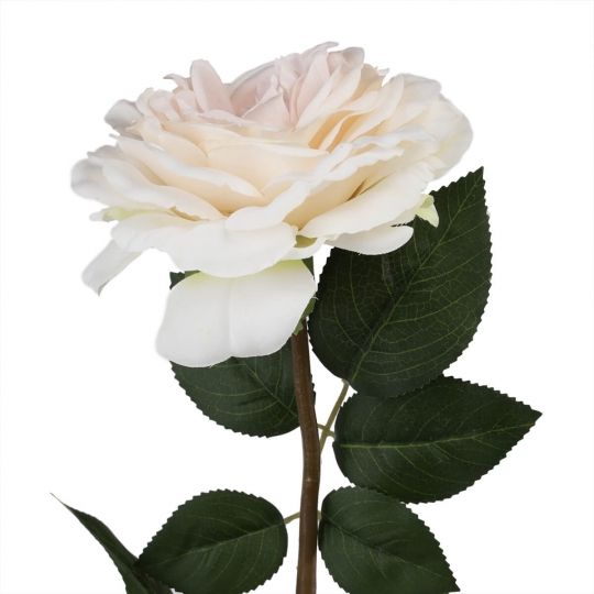 Троянда "Зворушливість", блідо-рожева, 75 см (6018-056)