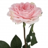 Троянда "Ніжність", рожева, 75 см (6018-057)