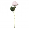 Пион "Ласка", розовая, 66 см (6018-060)