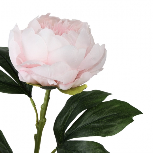 Пион "Ласка", розовая, 66 см (6018-060)