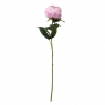 Півонія "Романтика", рожева, 66 см (6018-061)