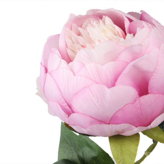 Півонія "Романтика", рожева, 66 см (6018-061)