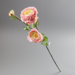 Ранункулюс (73 см) (091F/pink)