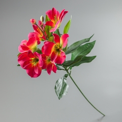 Альстремерія рожева, 65 см (097F/pink)