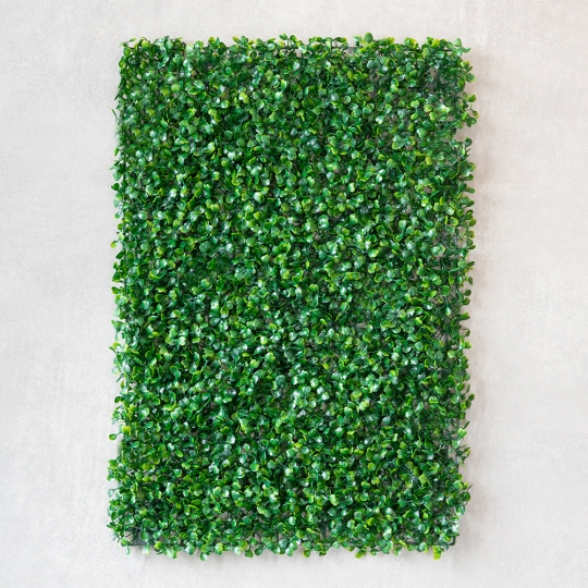 Штучний фітомодуль Штучний фітомодуль