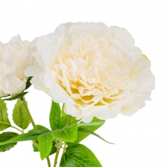 Искусственные пионы, кремовые, 60 см (9207-029)