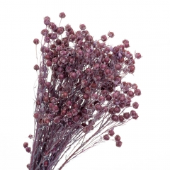 Сухоцвет Лен Фиолет, стабилизированные (8213-006)