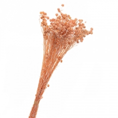 Сухоцвет Лен Персиковые, стабилизированные (8213-007)