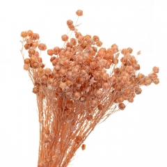 Сухоцвет Лен Персиковые, стабилизированные (8213-007)