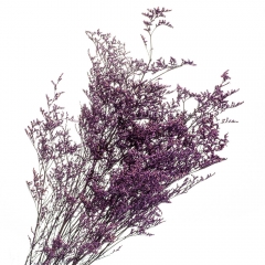 Декоративная ветка Фиолет, стабилизированная (8213-009)