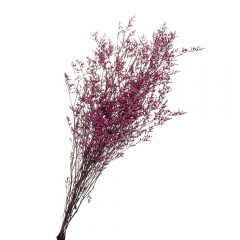 Декоративная ветка Сиреневая, стабилизированная (8213-013)