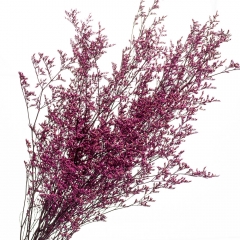 Декоративная ветка Сиреневая, стабилизированная (8213-013)
