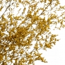 Декоративна гілка Жовта, стабілізована (8213-014)