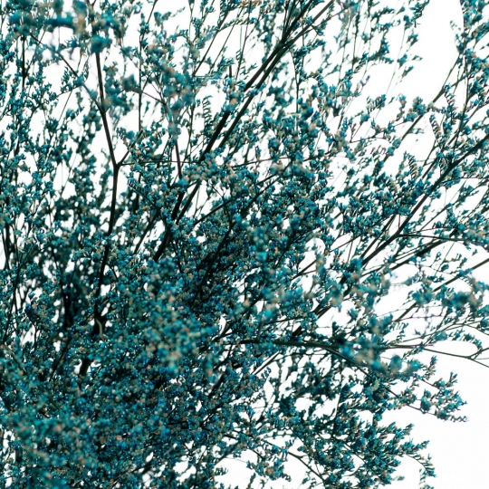 Декоративна гілка Блакитна, стабілізована (8213-015)