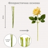 Флористическая основа 