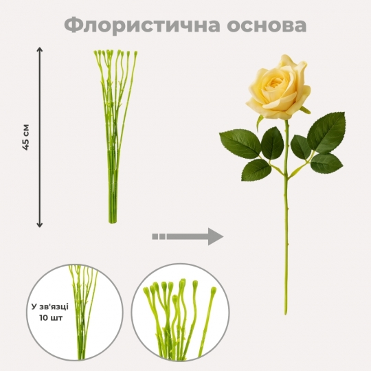 Флористическая основа 