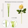 Флористическая основа 